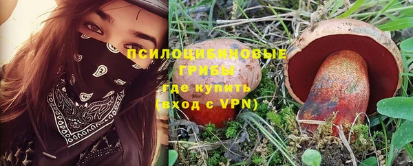 гидропоника Заводоуковск