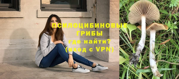 jwh Ельня